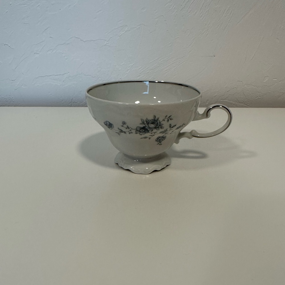 Johann Haviland Bavaria Germany Tea Cup
